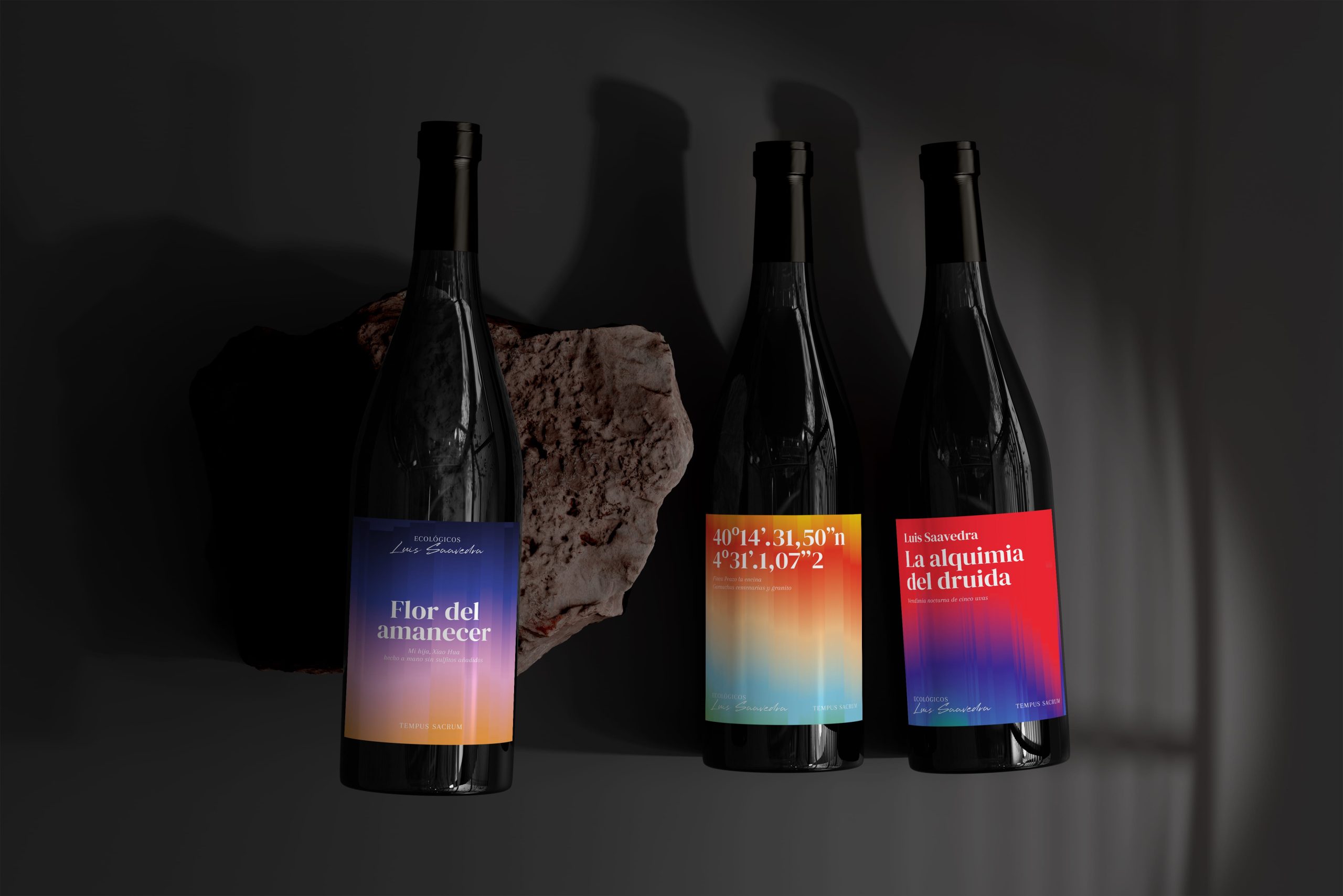 00_luis_saavedra 00_luis_saavedra